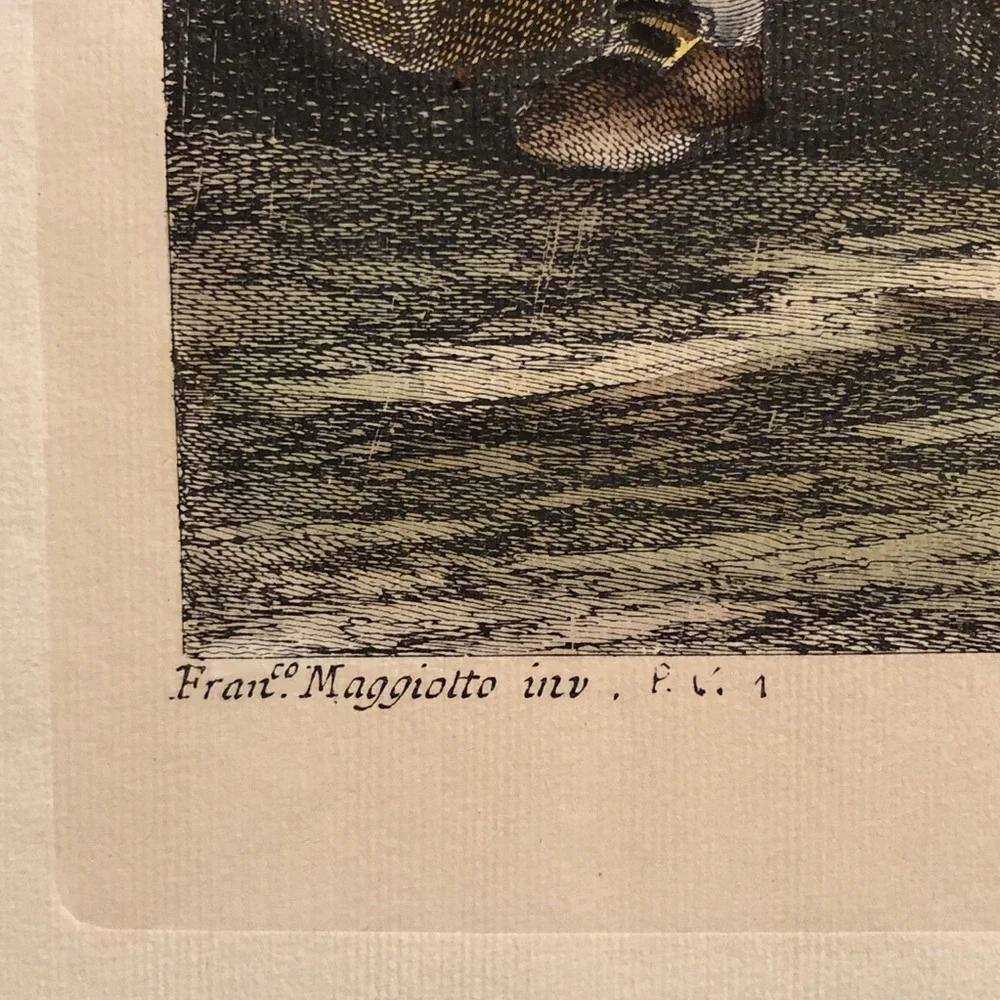 I Burattini - Vintage Hand Colored Engraving